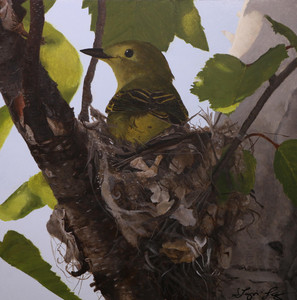 Warblers Nest Building 3