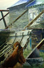 View #1