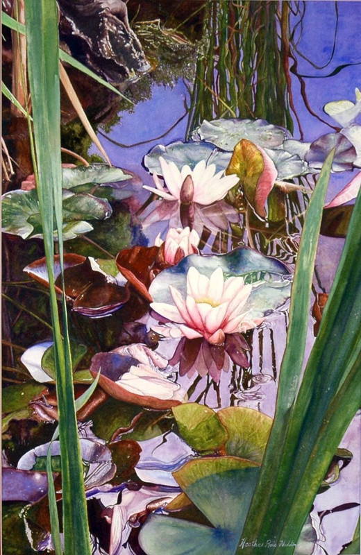 Lily pool