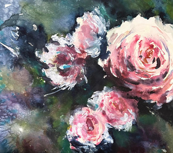Roses in sunlight