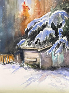 Garden Shed in Winter