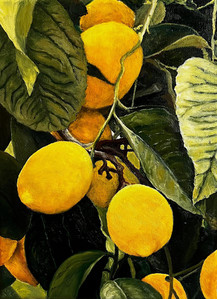 lemon tree
