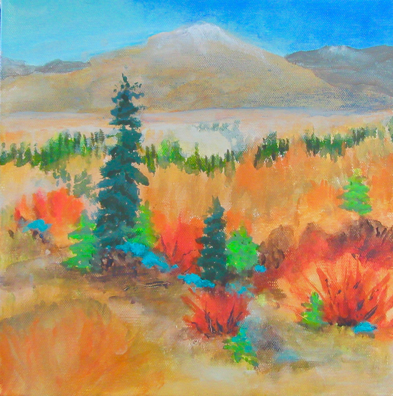 Yukon Holiday