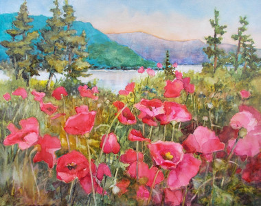 Blind Bay Poppies