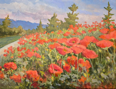 Harris Rd Poppies