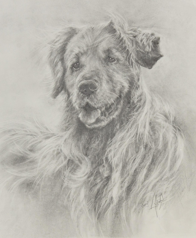 Casey