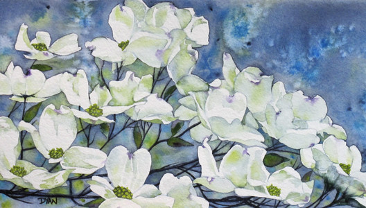 DOGWOOD