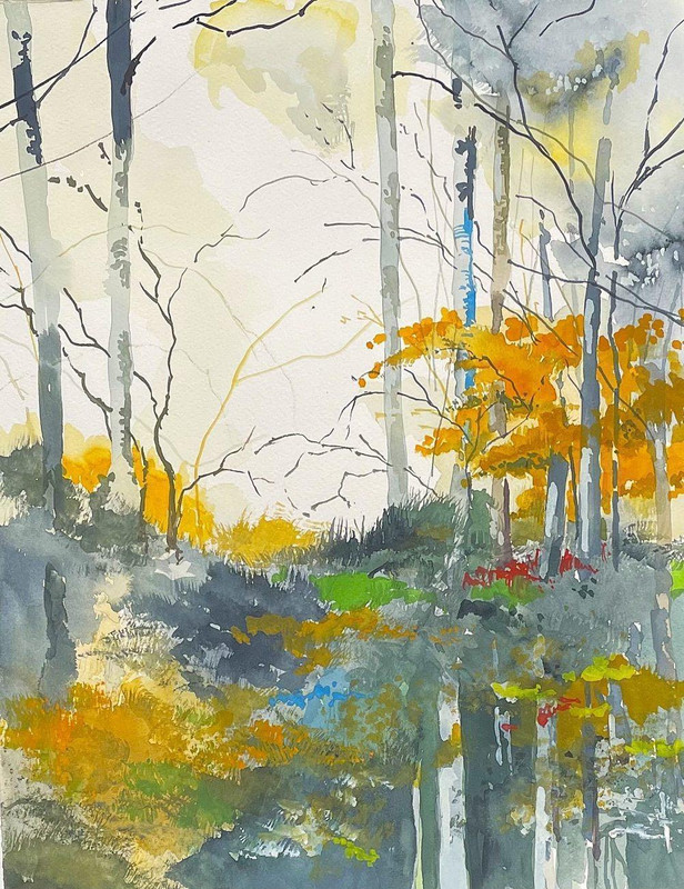 Autumn Forest