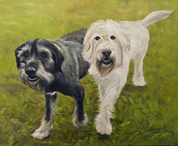 The Magnificent Mutts of Meacham