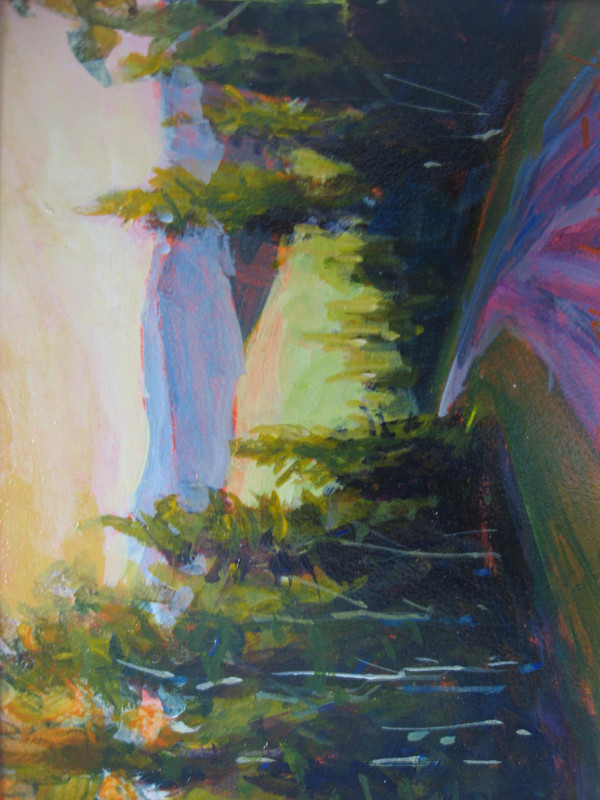 Sunset in Forest 