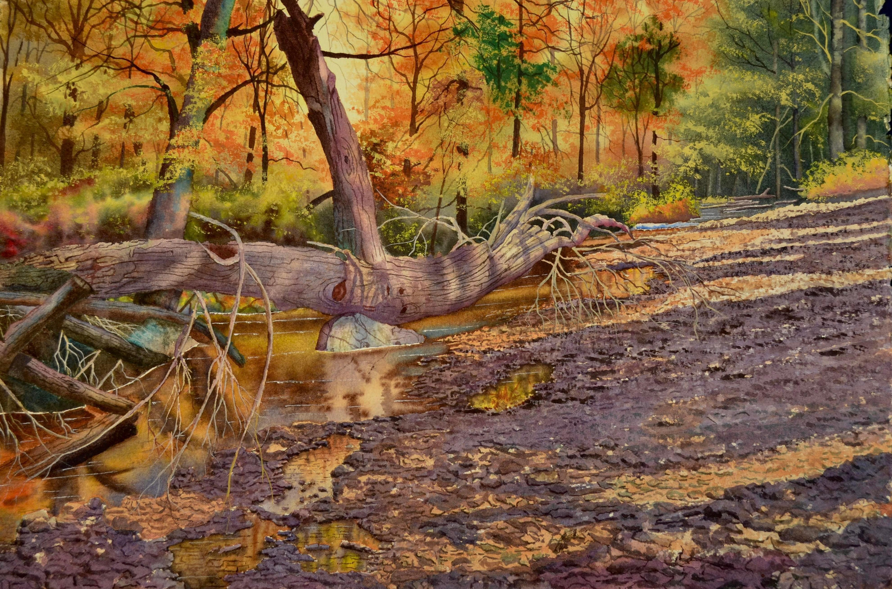 "Golden Light II" by Roy Tibbits