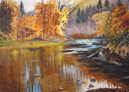 Fall Along The Shiktehawk Stream