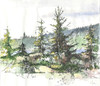 View #1