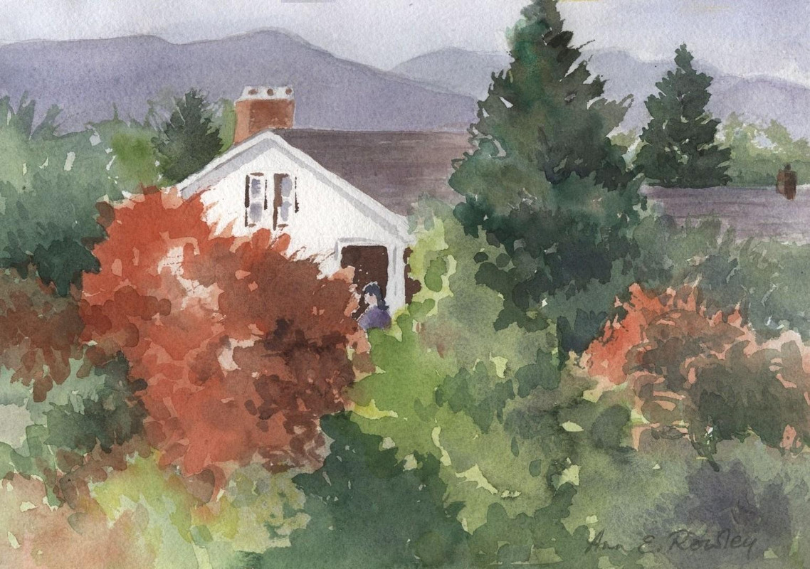 House in the Trees