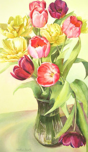 Tulips