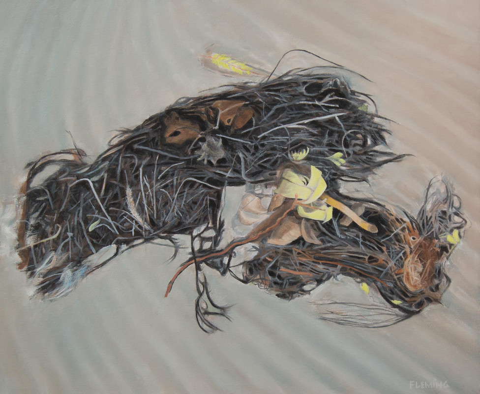 Seaweed Dragon