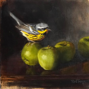 Magnolia Warbler