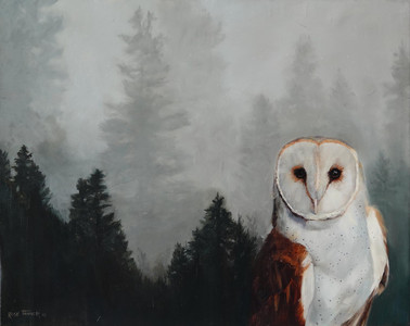 Owl in the Mist