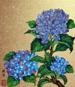 Nikko Blue Hydrangea