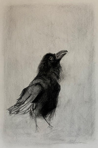 Baby Crow Singing
