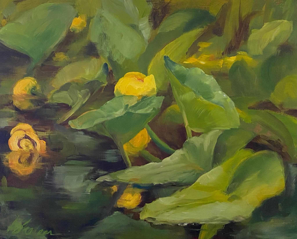 Lake Lily Pads