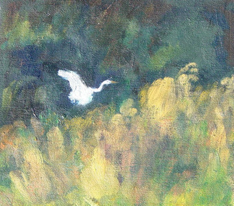 White Crane