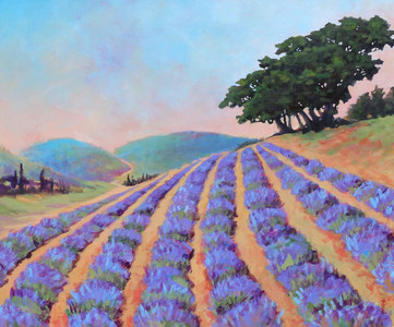 Lavender on a French Hillside