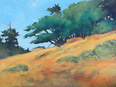 Mendocino Hillside