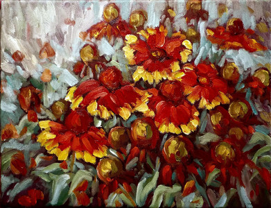 blanket Flowers