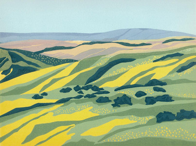 In the Gold, Carrizo Plain, CA