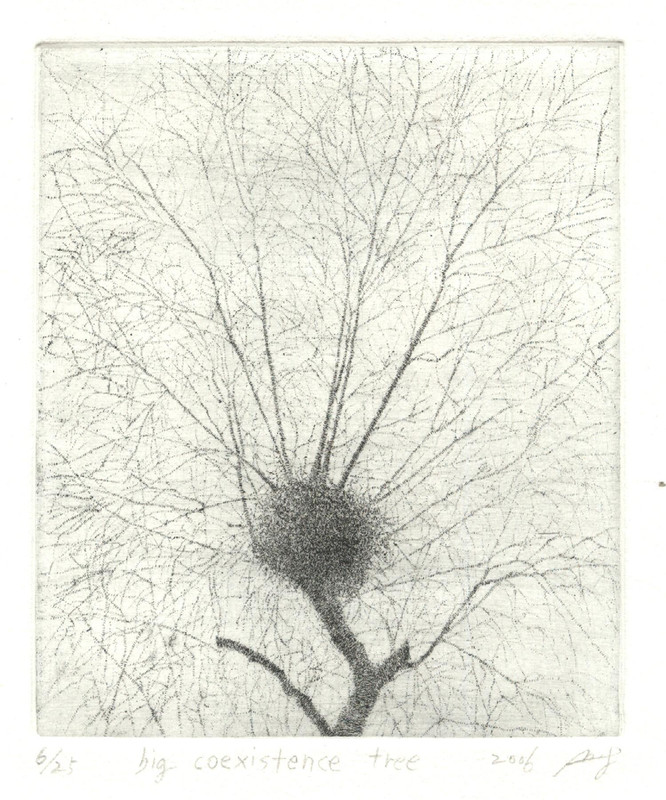 Big Co-Existence Tree