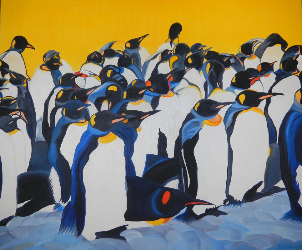 Where's Waldo? King Penguins South Georgia