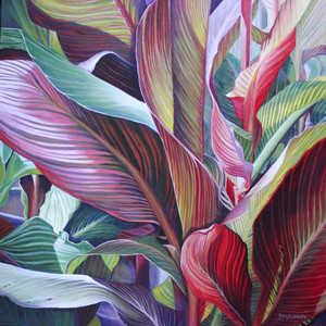 Cannas #7