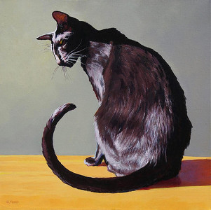 "Mimi": Oriental Shorthair, for Live Jurying