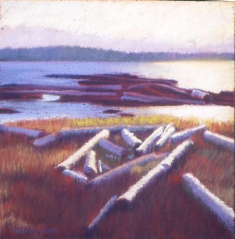 Driftwood at Sunset