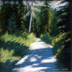 Cypress Trail in Summer