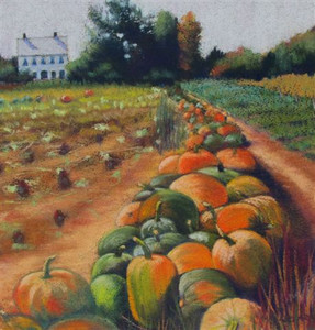  Pumpkin Harvest