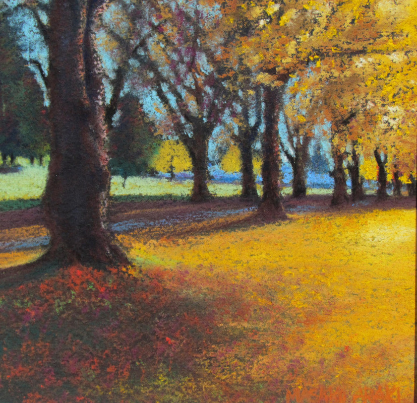 Autumn color in the park.