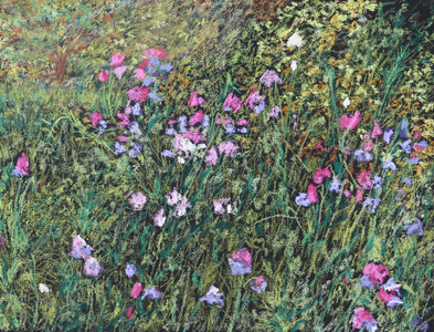 Sweetpeas at Van Dusen II