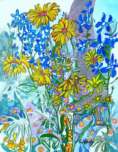 Kootenay Wild Flowers