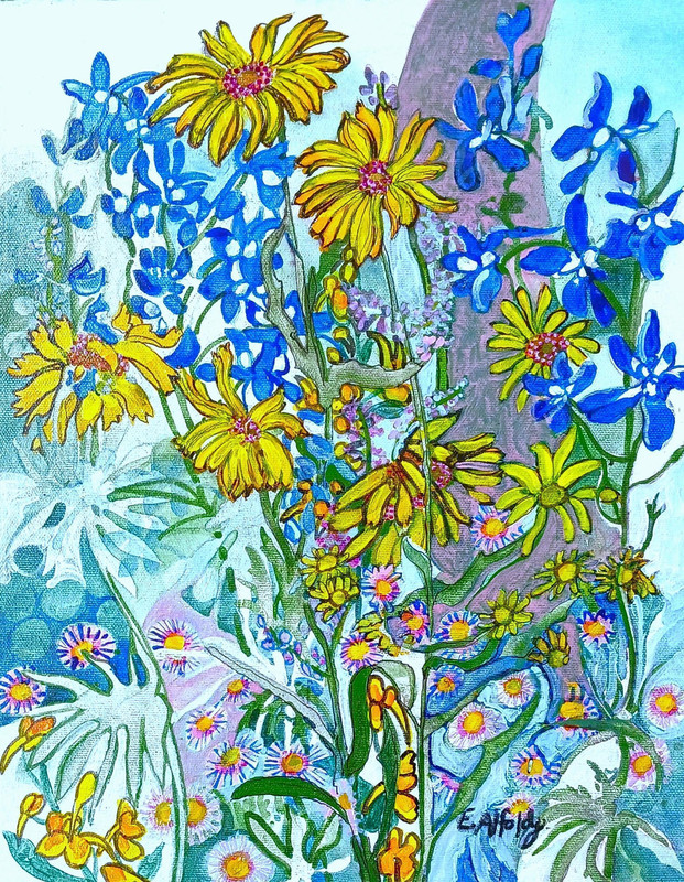 Kootenay Wild Flowers