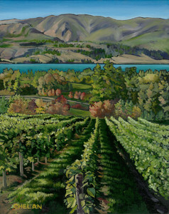 Okanagan Vineyard