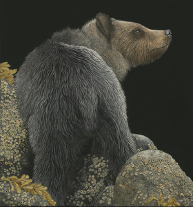 Grizzly among rocks