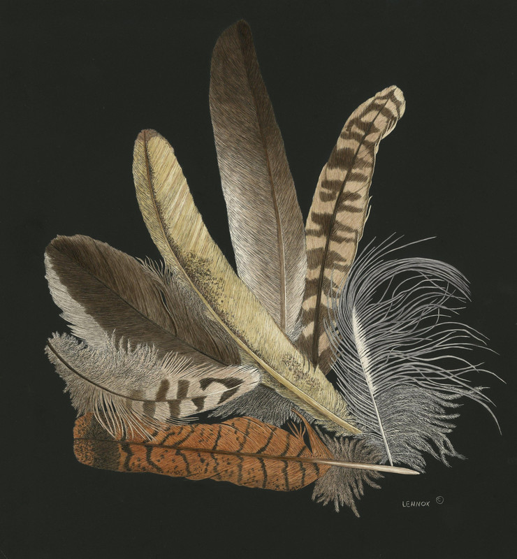 Feather Collection I