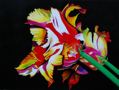 Parrot Tulips