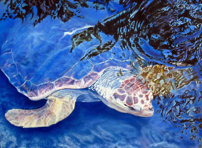 Sea Turtle