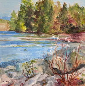 Rocky Shores