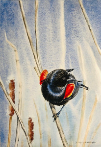 Blackbird and Bullrushes I