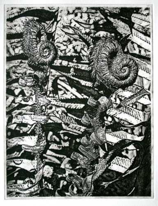 Fiddlehead