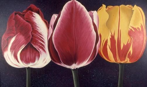 Tulip Trio